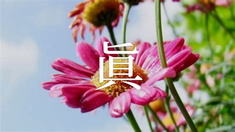 倫名字|「倫」を使った名前、意味、画数、読み方、由来、成。